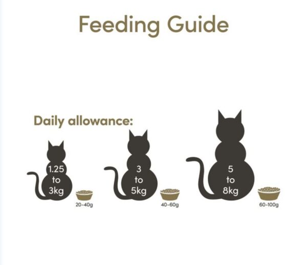 Applaws Adult Chicken with Extra Duck Dry Cat Food - Image 4