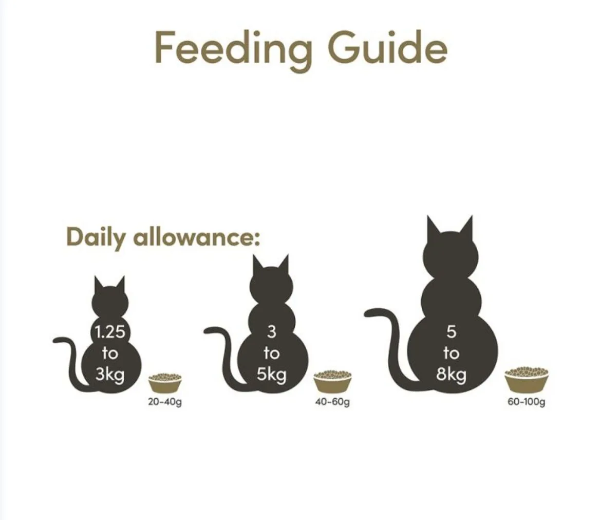 Applaws Adult Chicken with Extra Salmon Dry Cat Food - Image 4