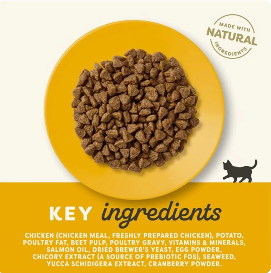 ⁦طعام قطط جاف أبلاوز للقطط الصغيرة بنكهة الدجاج⁩ - الصورة ⁦2⁩