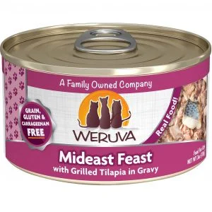 Weruva Mideast Feast with Grilled Tilapia in Gravy Wet Cat Food, 85 g