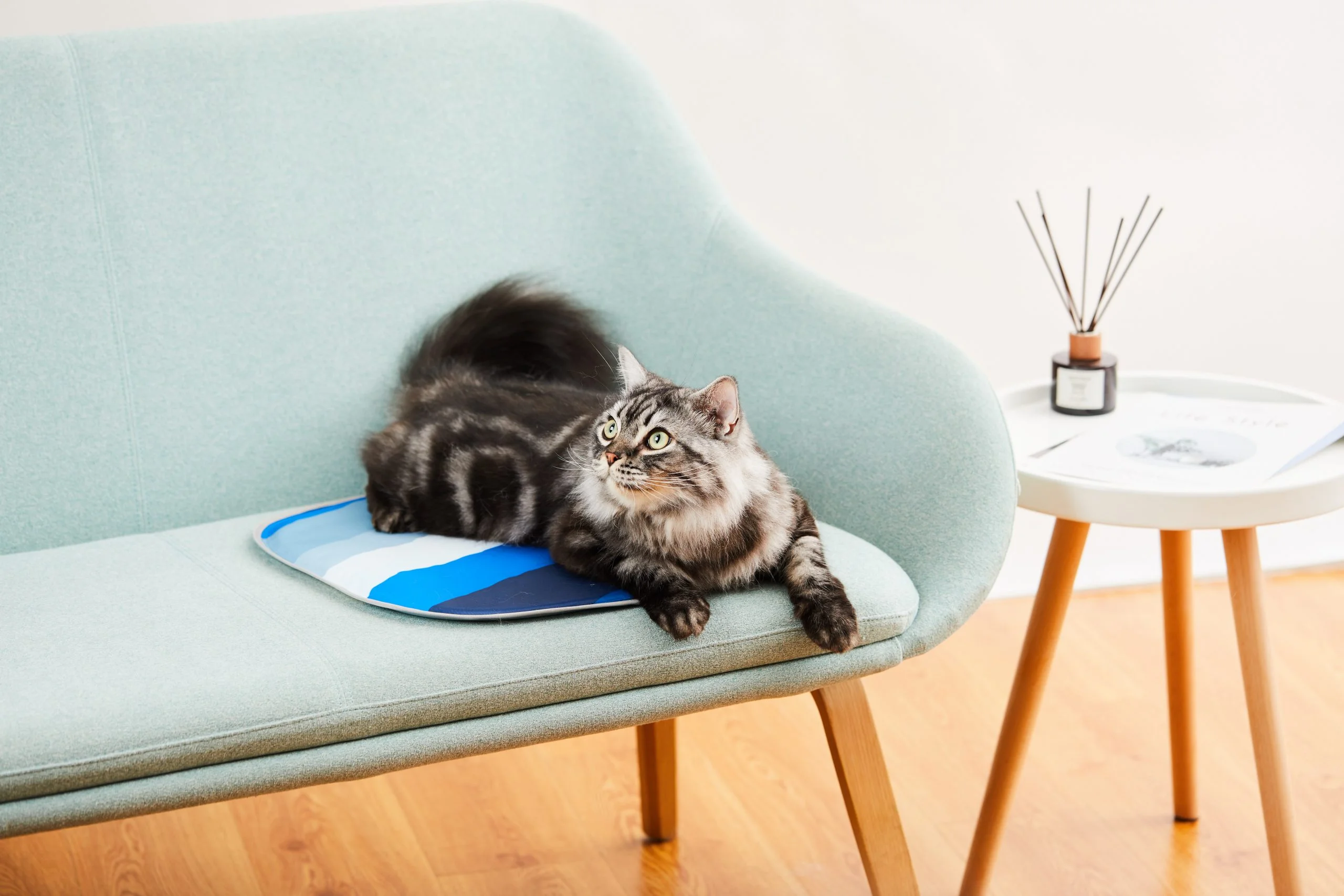 PetKit Pura X Cat Cooling Pad - Image 4