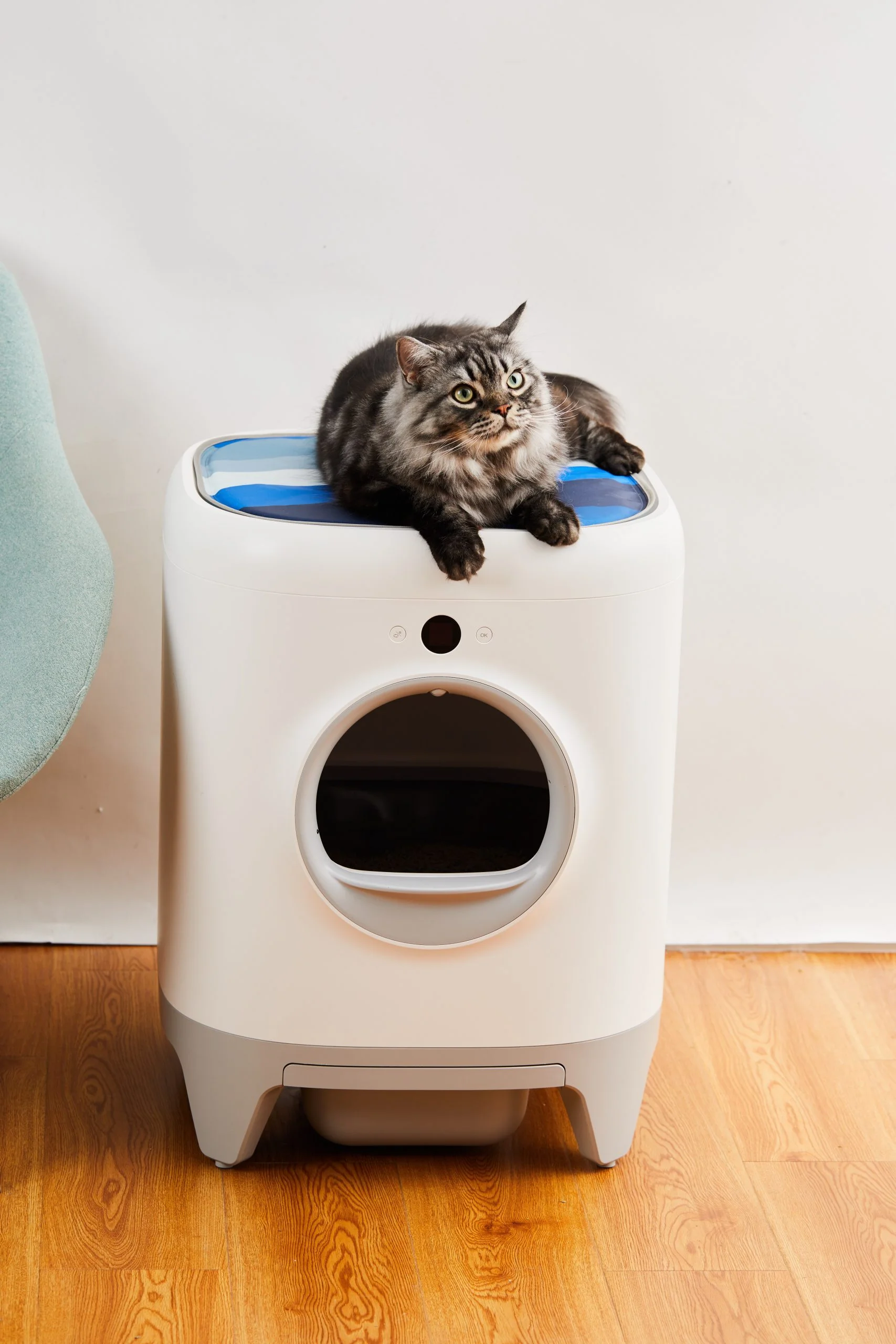 PetKit Pura X Cat Cooling Pad - Image 2