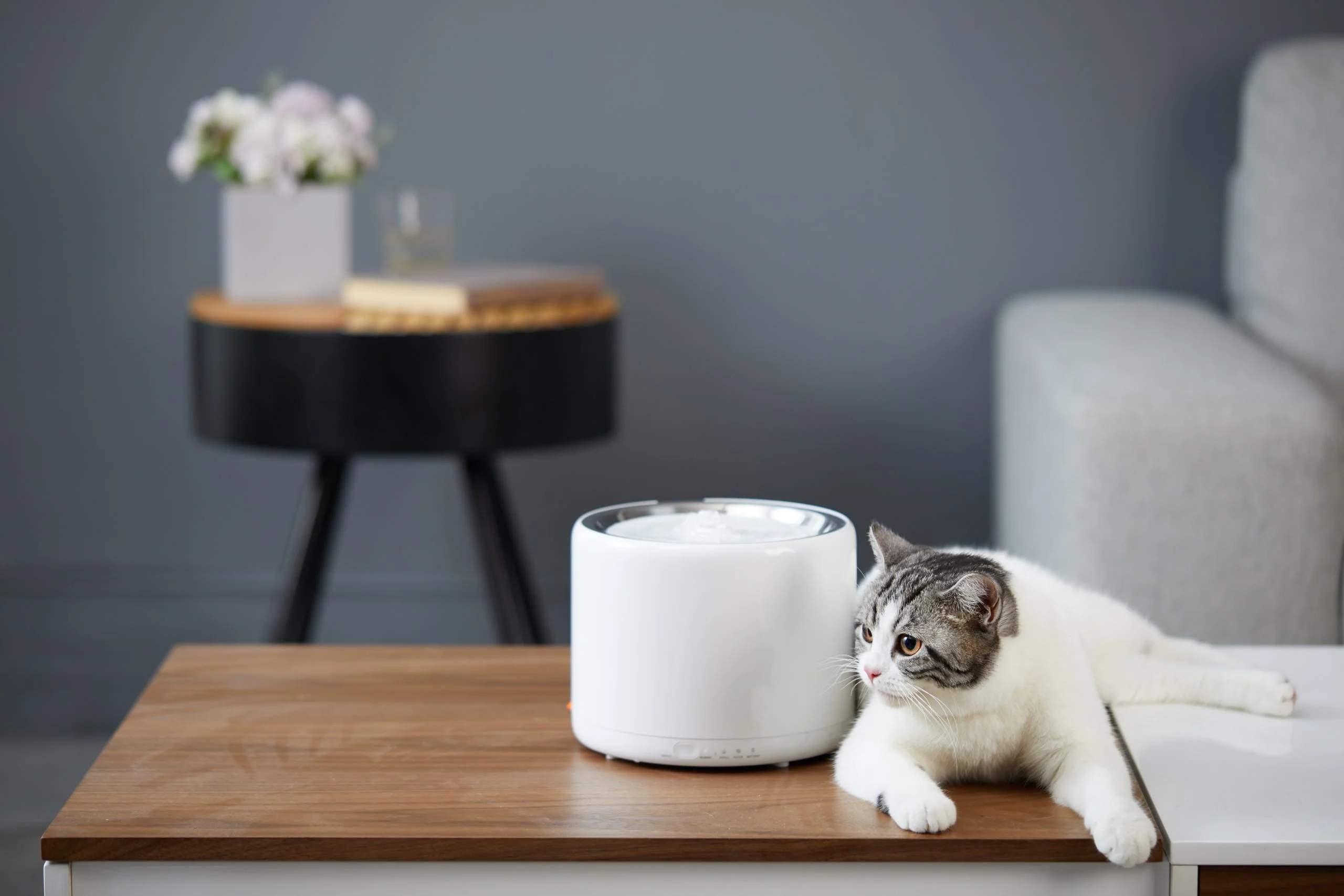 PetKit Smart Water Fountain 3 - Image 7