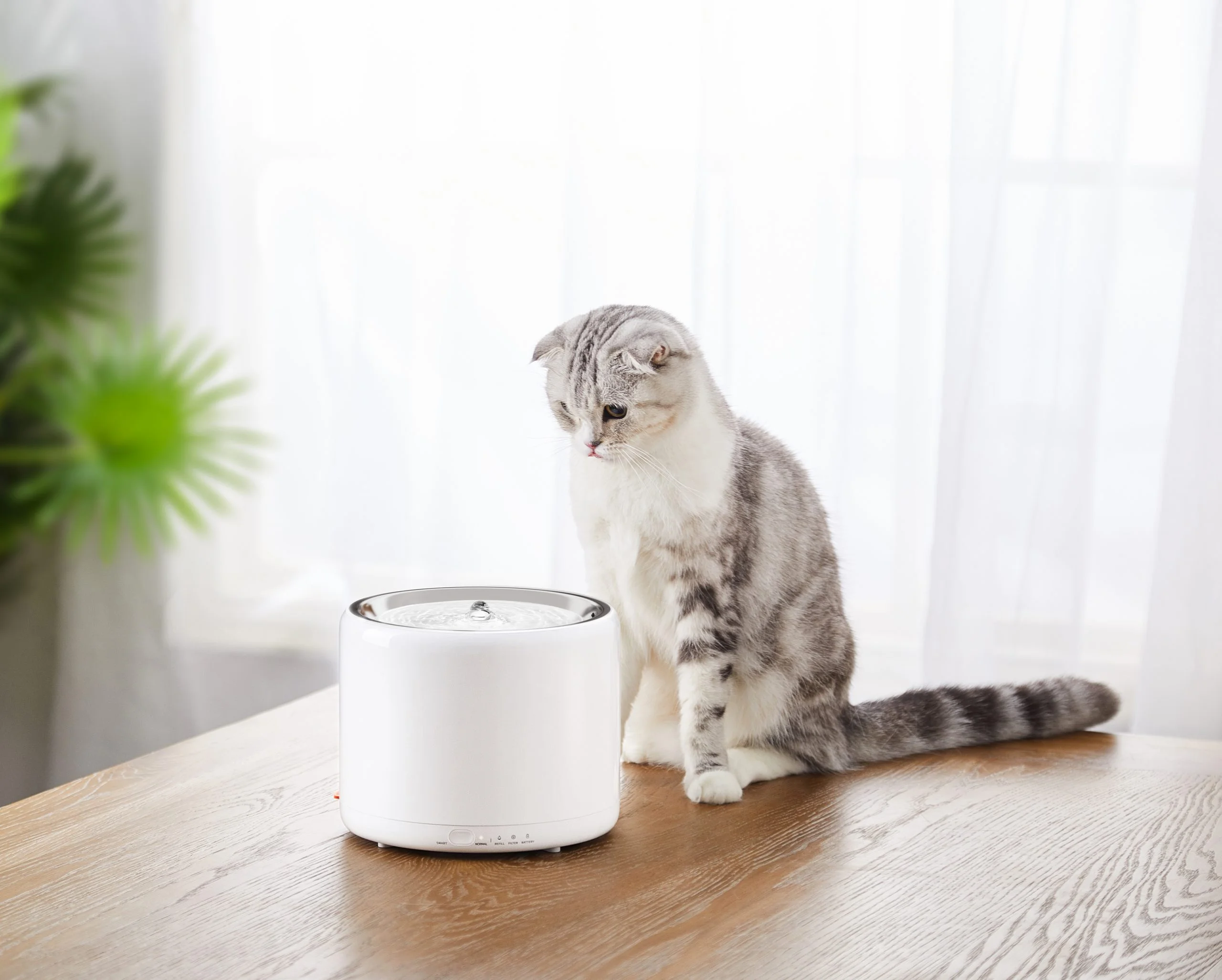 PetKit Smart Water Fountain 3 - Image 4