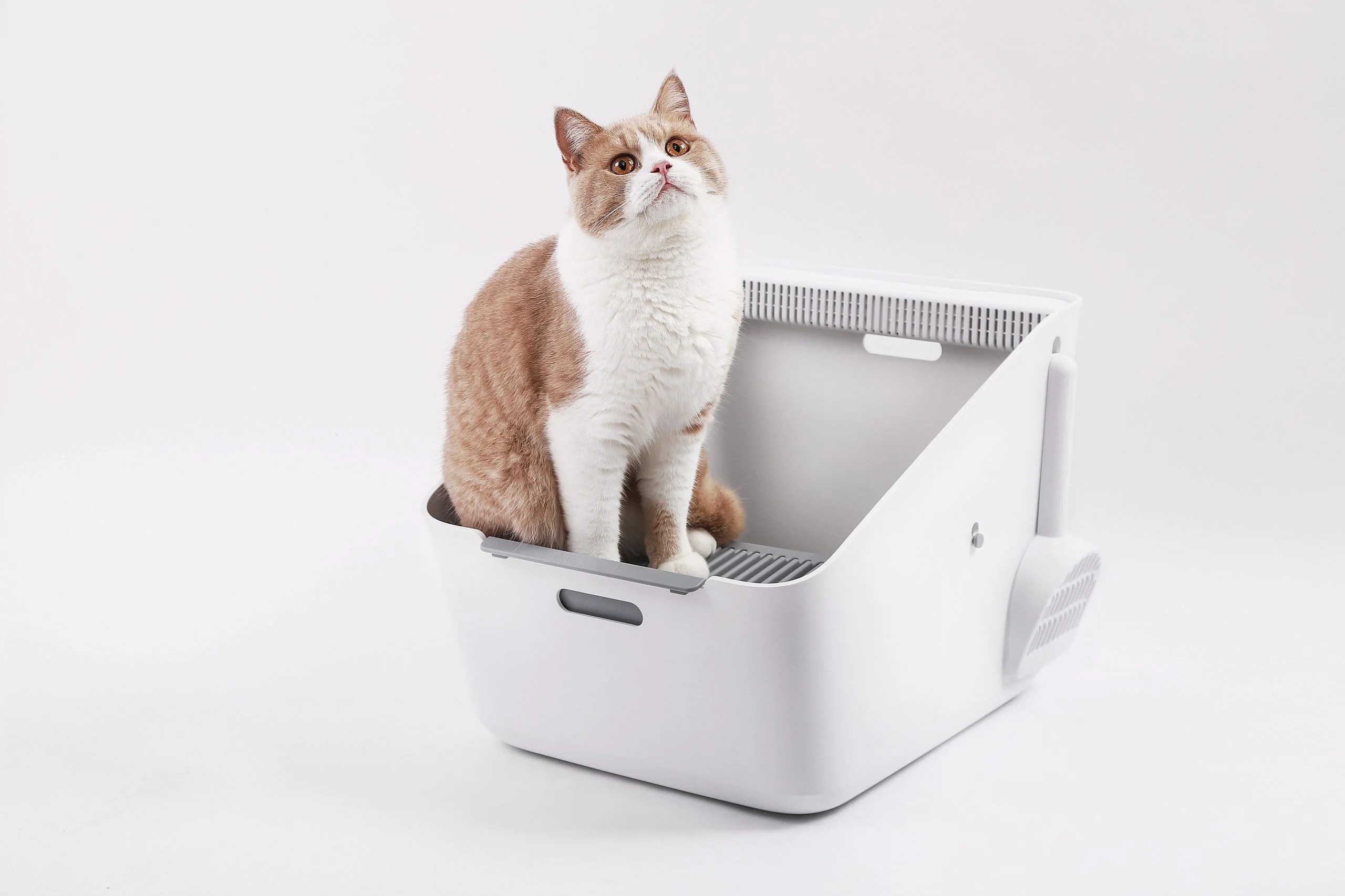 PetKit Pura Cat Litter Box + (Smart Odour Eliminator) - Image 11