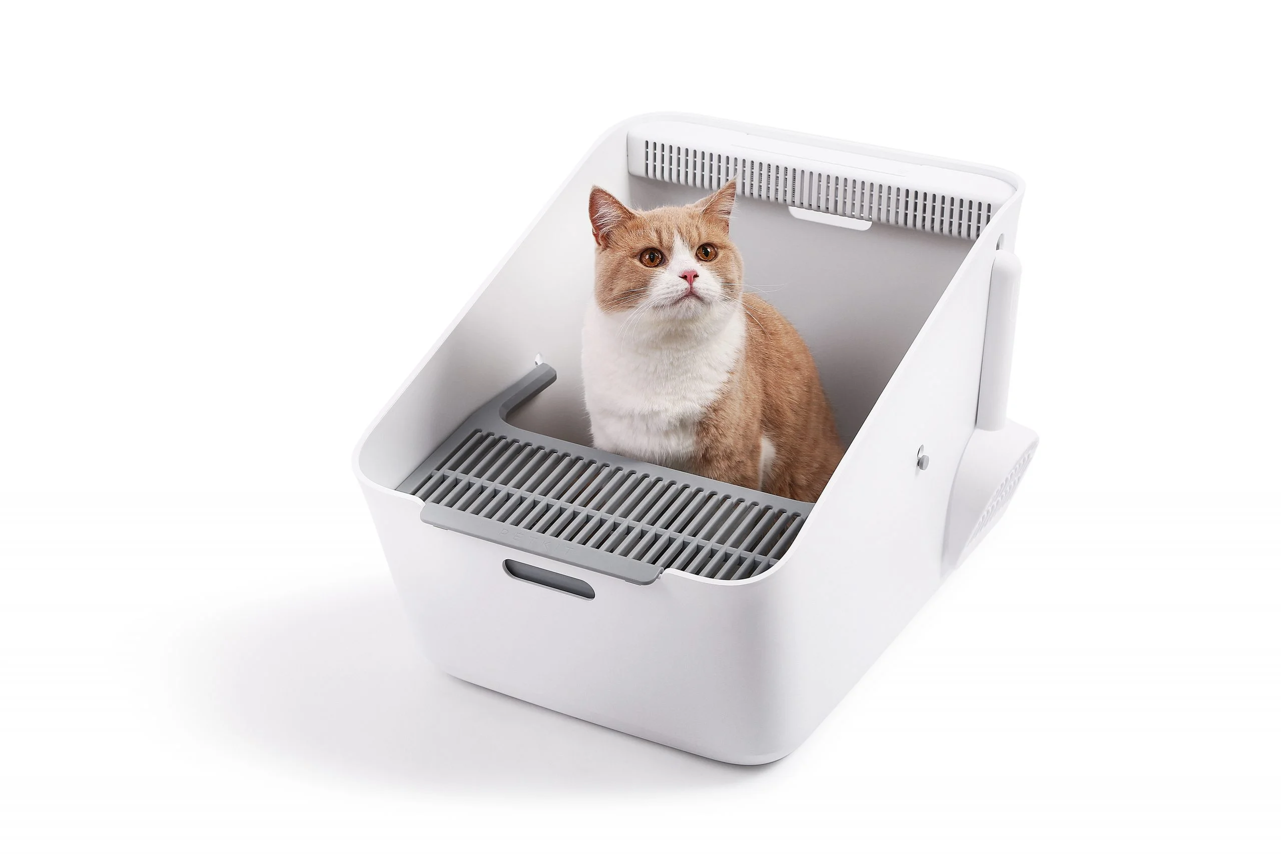 PetKit Pura Cat Litter Box + (Smart Odour Eliminator) - Image 12