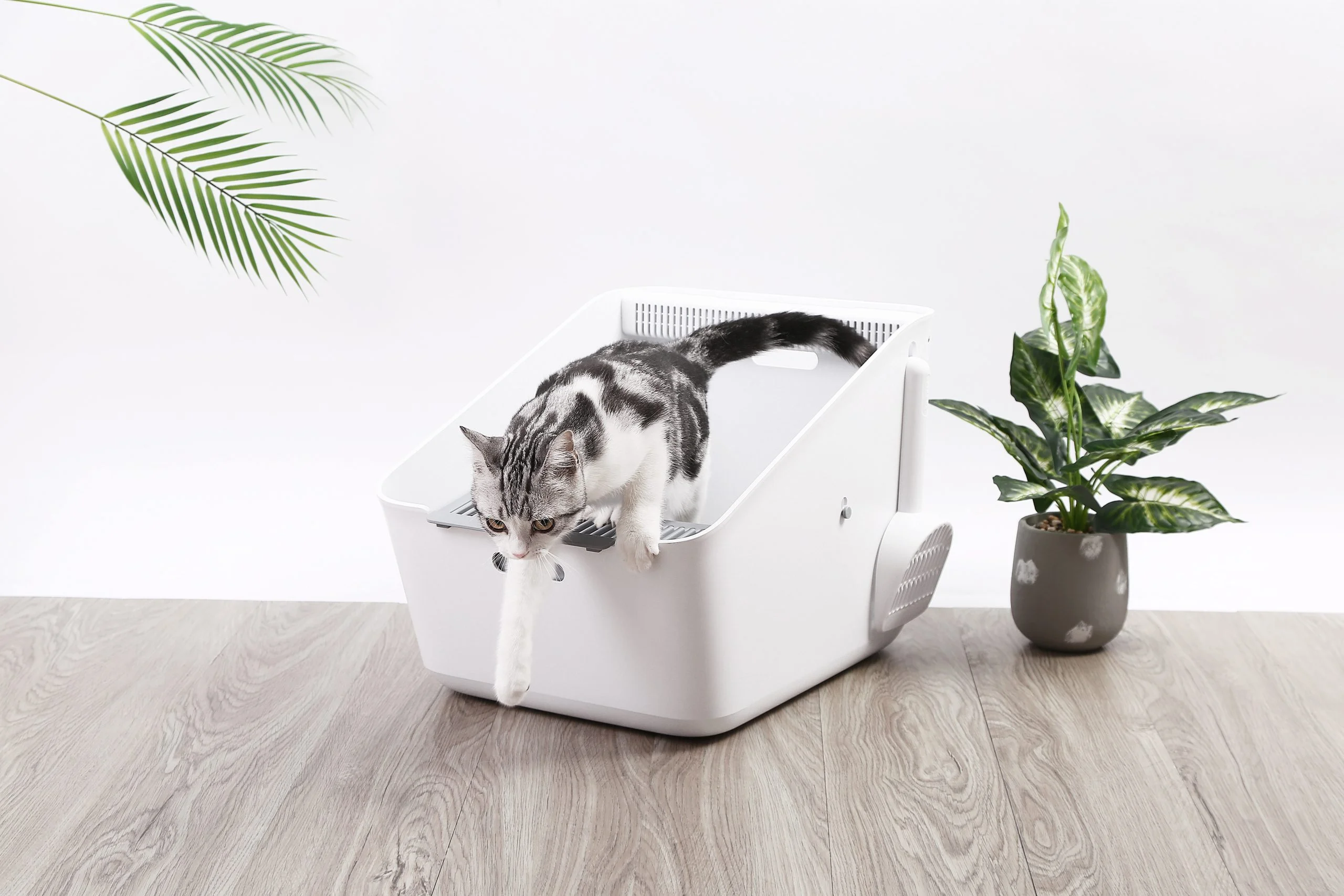PetKit Pura Cat Litter Box + (Smart Odour Eliminator) - Image 3