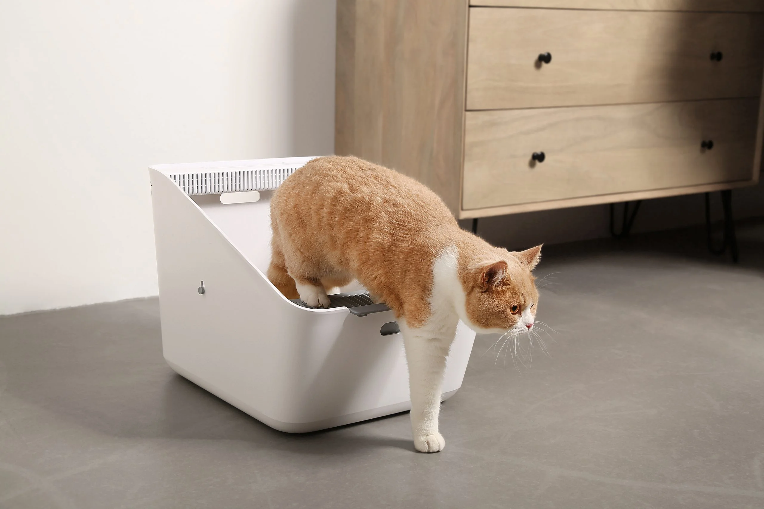PetKit Pura Cat Litter Box + (Smart Odour Eliminator) - Image 13