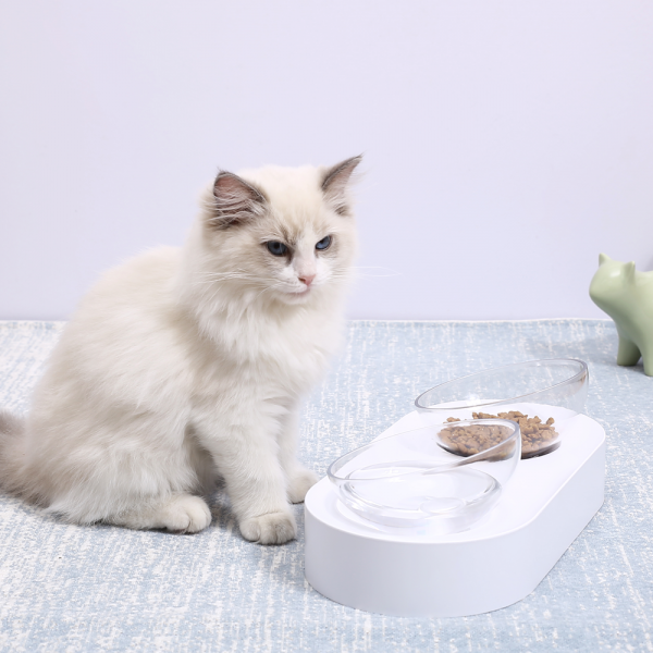 PetKit Fresh Nano Bowl, Double - Image 2