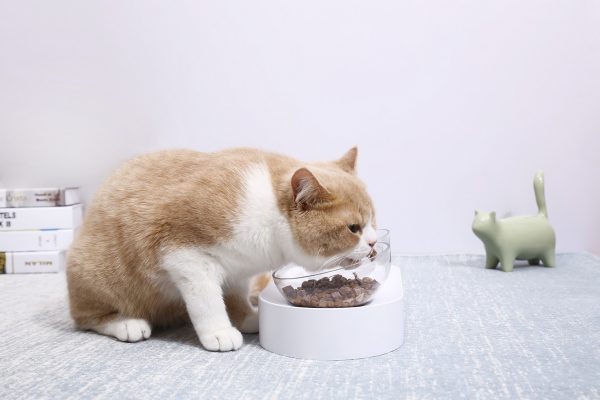 PetKit Fresh Nano Bowl, Double - Image 4