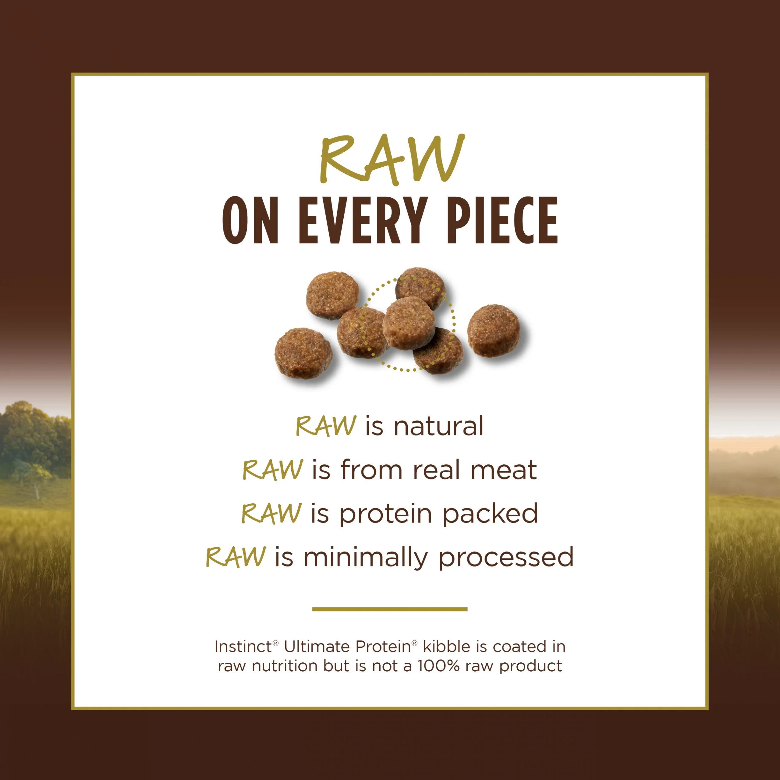 ⁦طعام القطط الجاف الخالي من الحبوب بنكهة الدجاج من انستينكت ألتيميت بروتين⁩ - الصورة ⁦6⁩