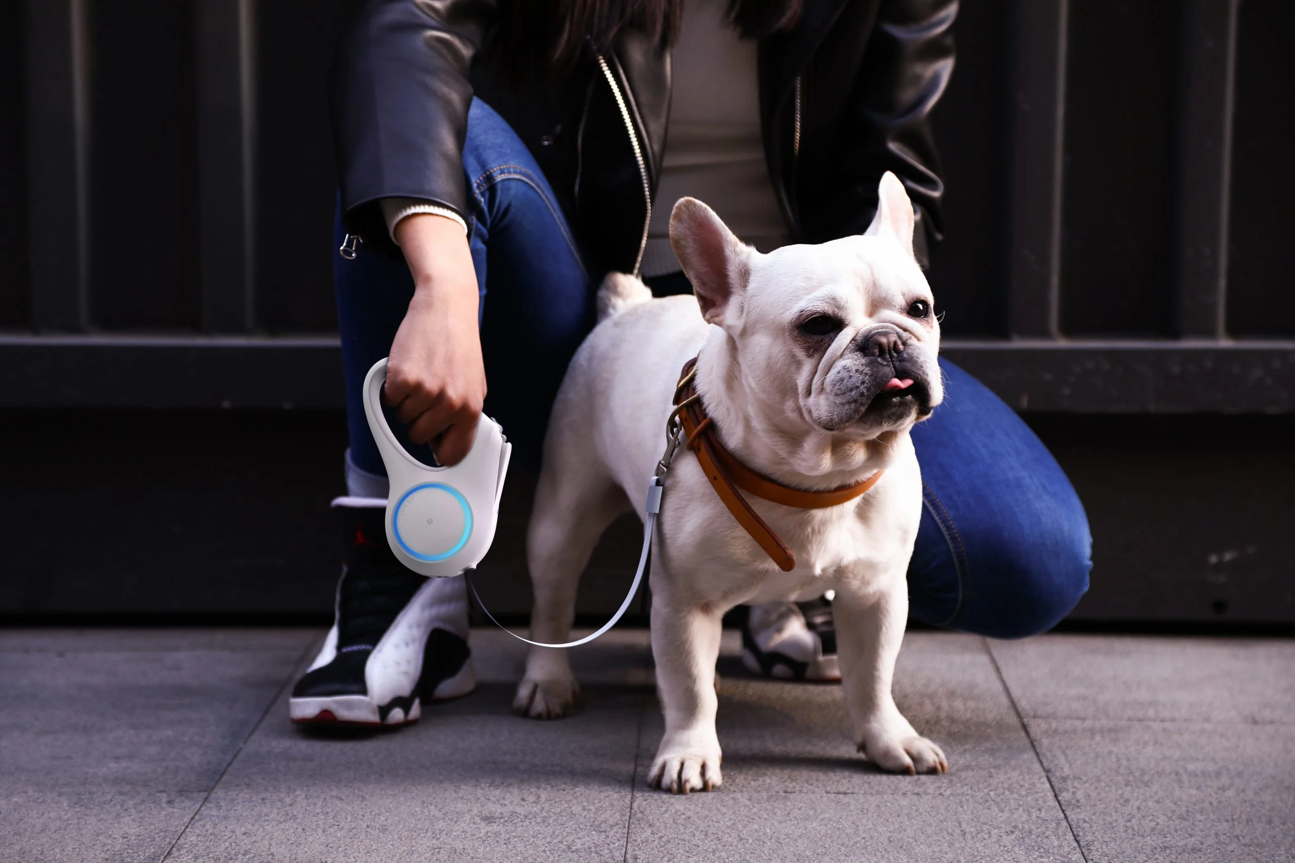 Walk a Dog Bundle - Image 6