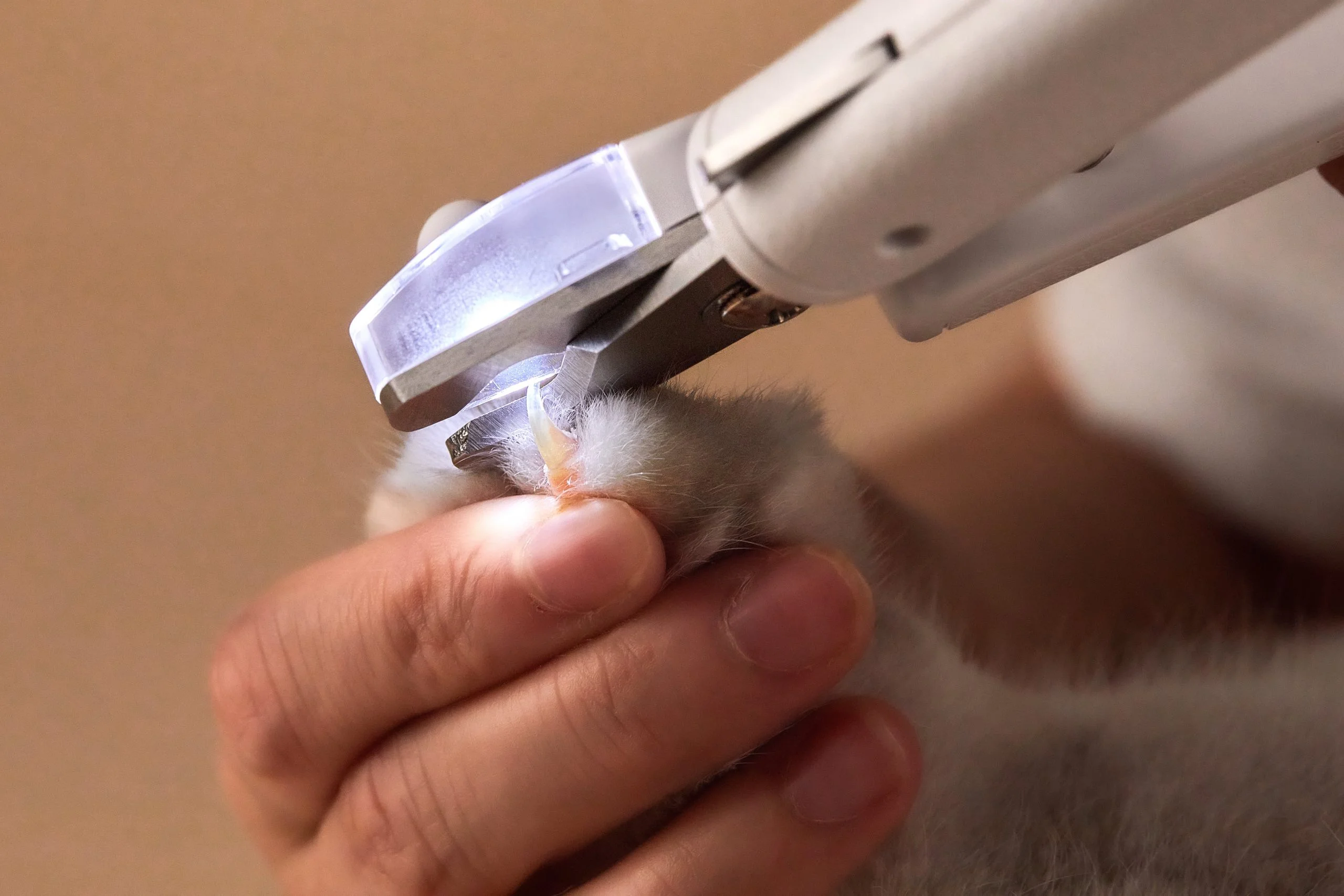 PetKit LED Pet Nail Clipper - Image 5