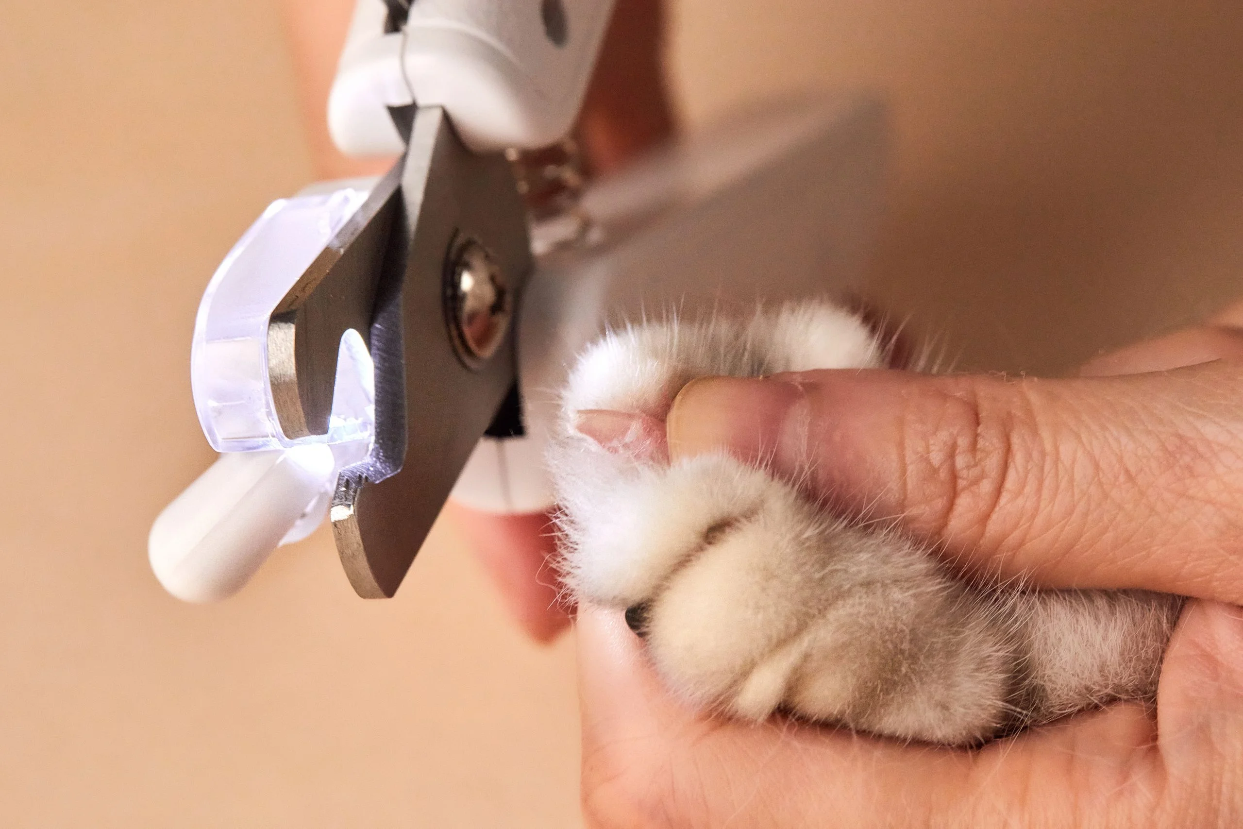 PetKit LED Pet Nail Clipper - Image 3