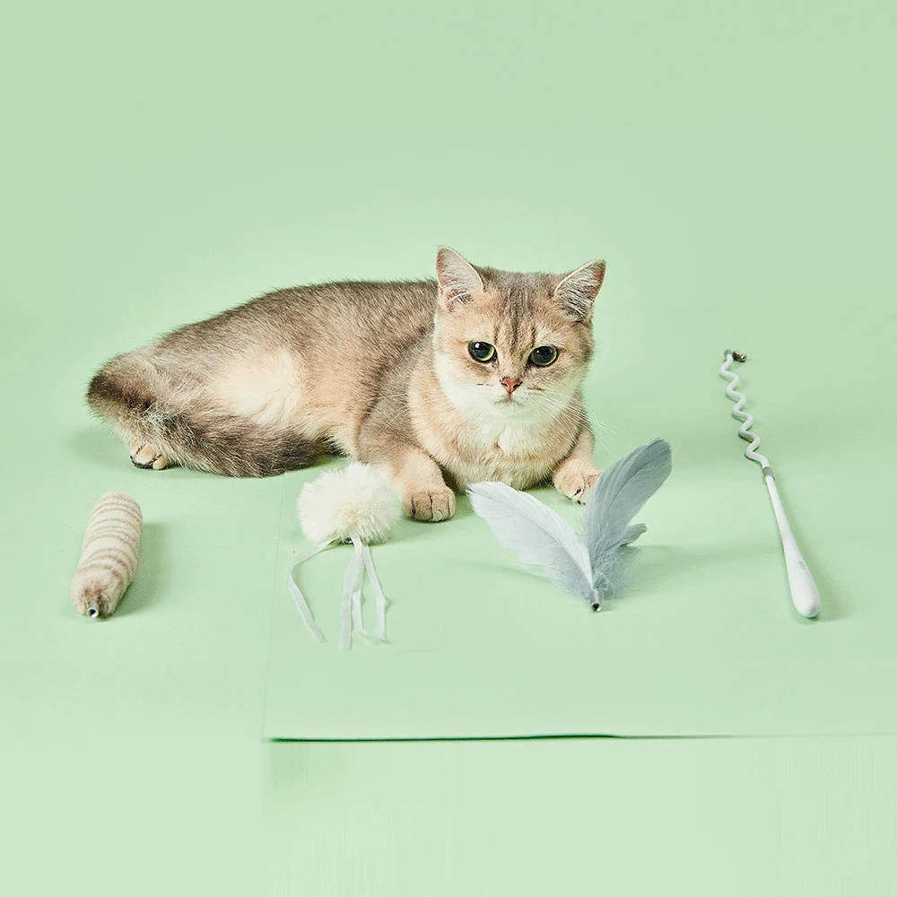 PetKit Cat Teaser Wand Replacement - Image 2