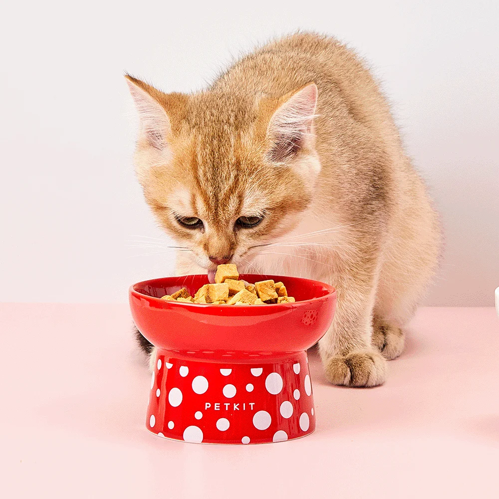 PetKit Polka Dot Ceramic Bowl - Image 3