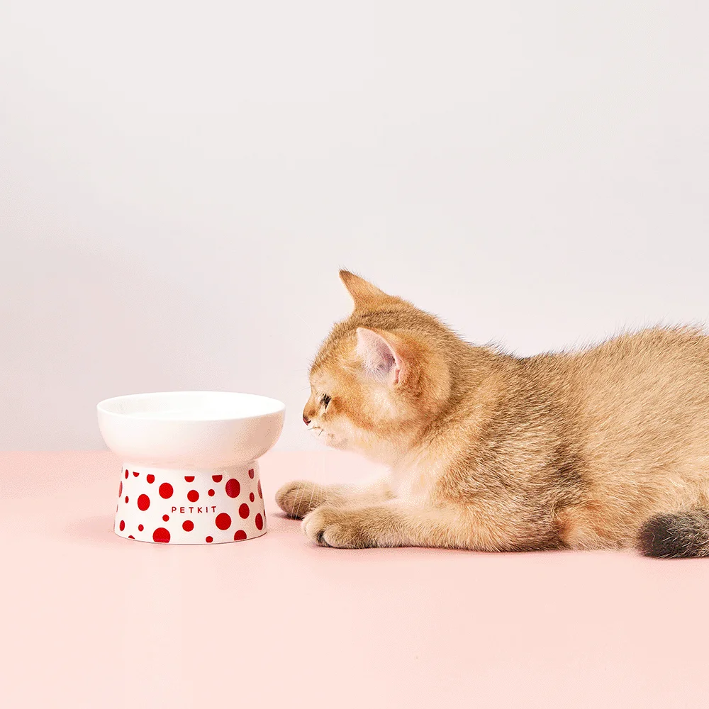 PetKit Polka Dot Ceramic Bowl - Image 4