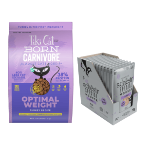 قطة على حمية! 1+ سنوات