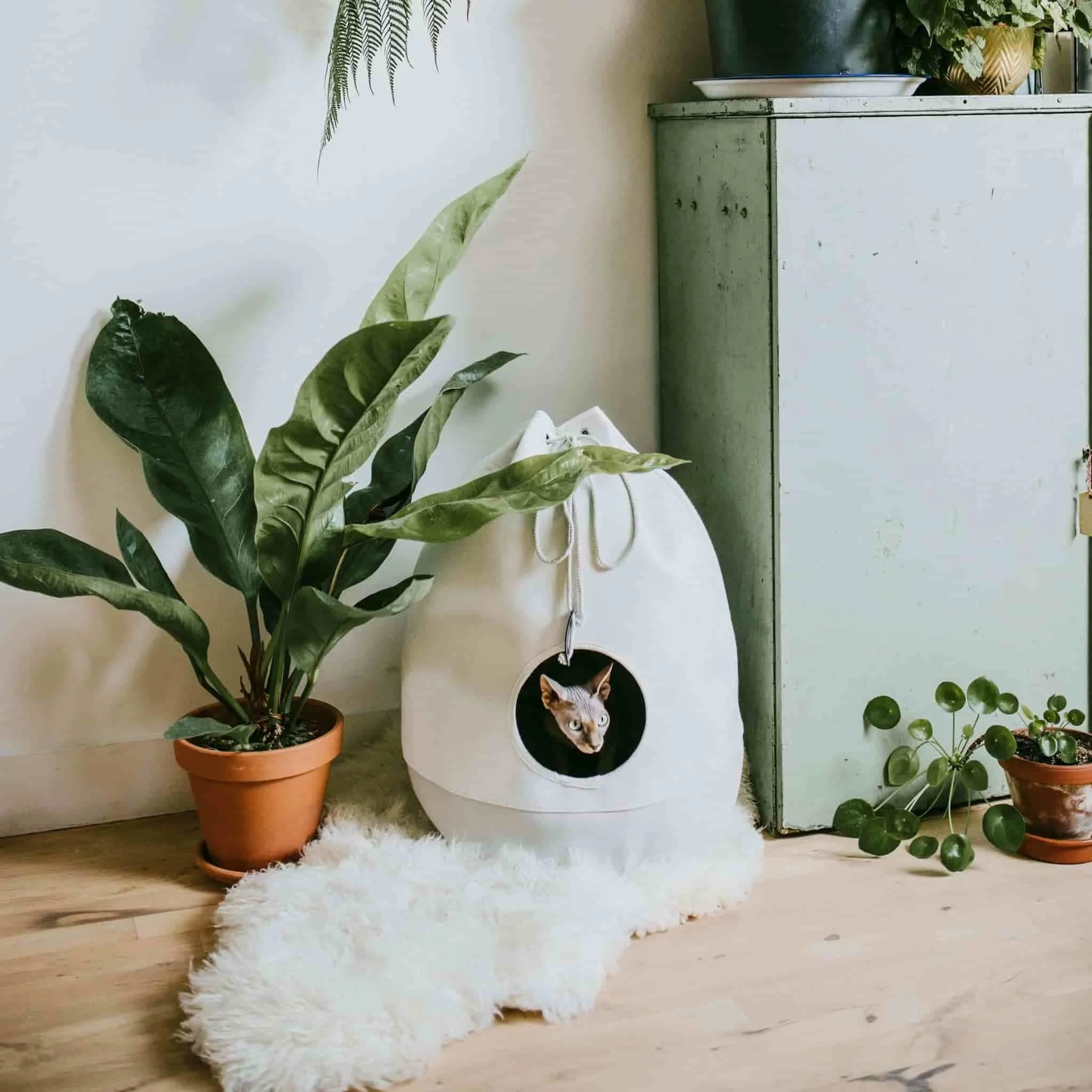 District 70 CASA, Stylish Cat Bed - Image 3