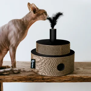 District 70 FIESTA, Black