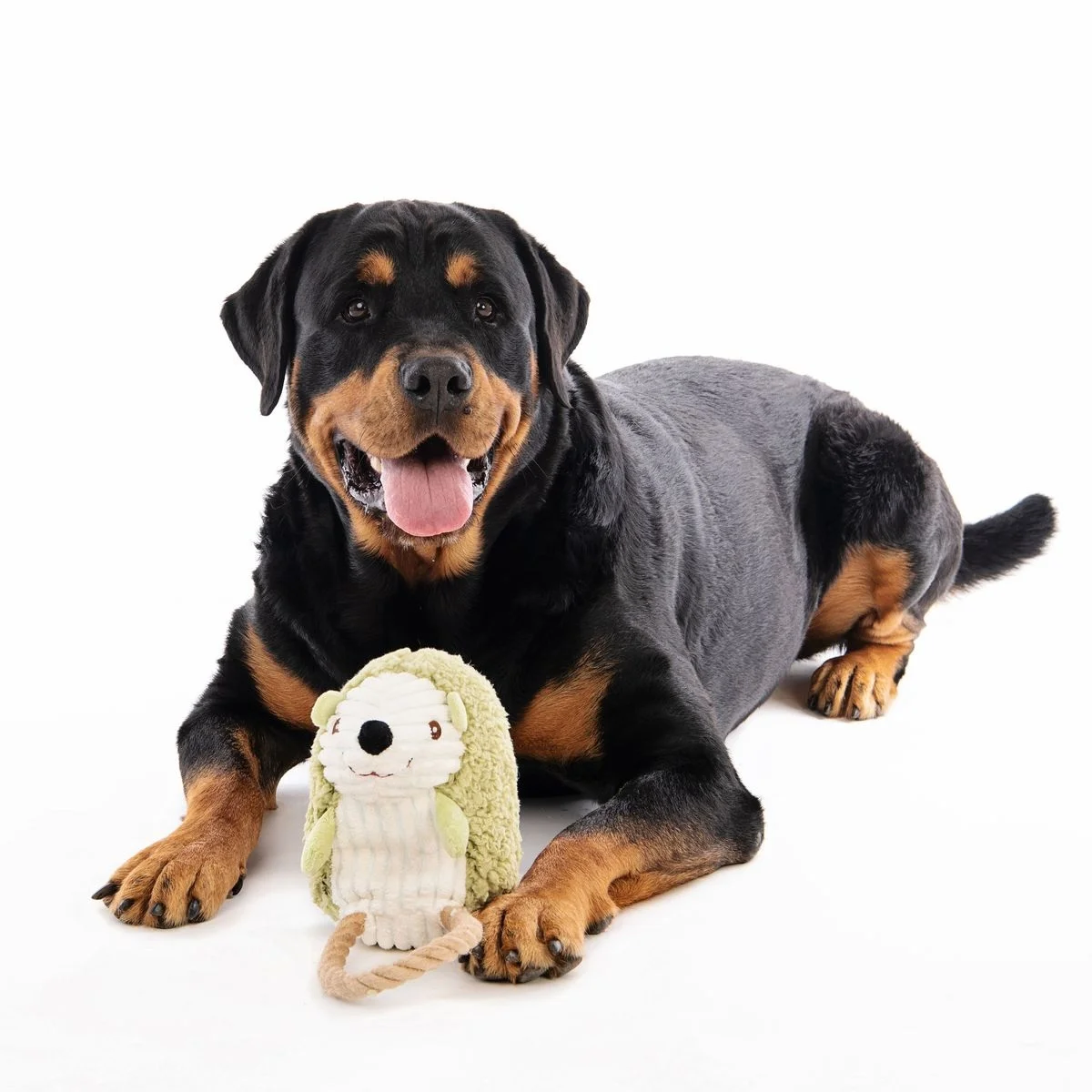 M-Pets Leif Eco Dog Toy - Image 2