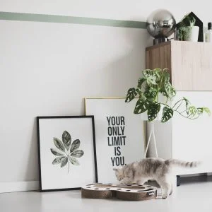 Alternative view of District 70 SNAKE Multifunctional Cat Toy, White