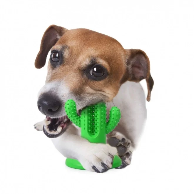 AFP Dental Chews Cactus Rubber Green Dog Toy, Green - Image 4
