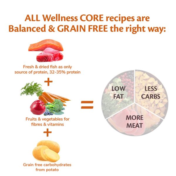 Wellness CORE Ocean Medium/Large Breed Salmon with Tuna Recipe Dry Dog Food - Image 4