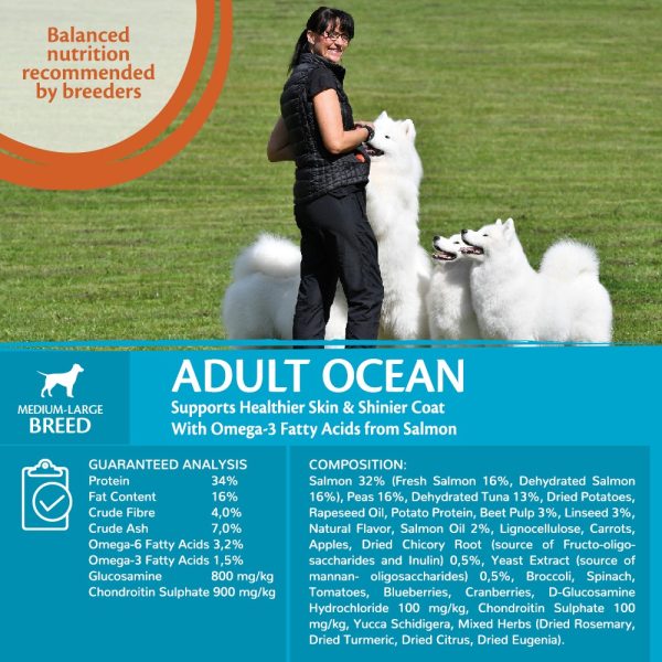 Wellness CORE Ocean Medium/Large Breed Salmon with Tuna Recipe Dry Dog Food - Image 3