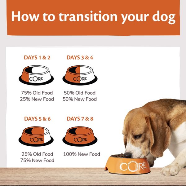 Wellness CORE Ocean Medium/Large Breed Salmon with Tuna Recipe Dry Dog Food - Image 5
