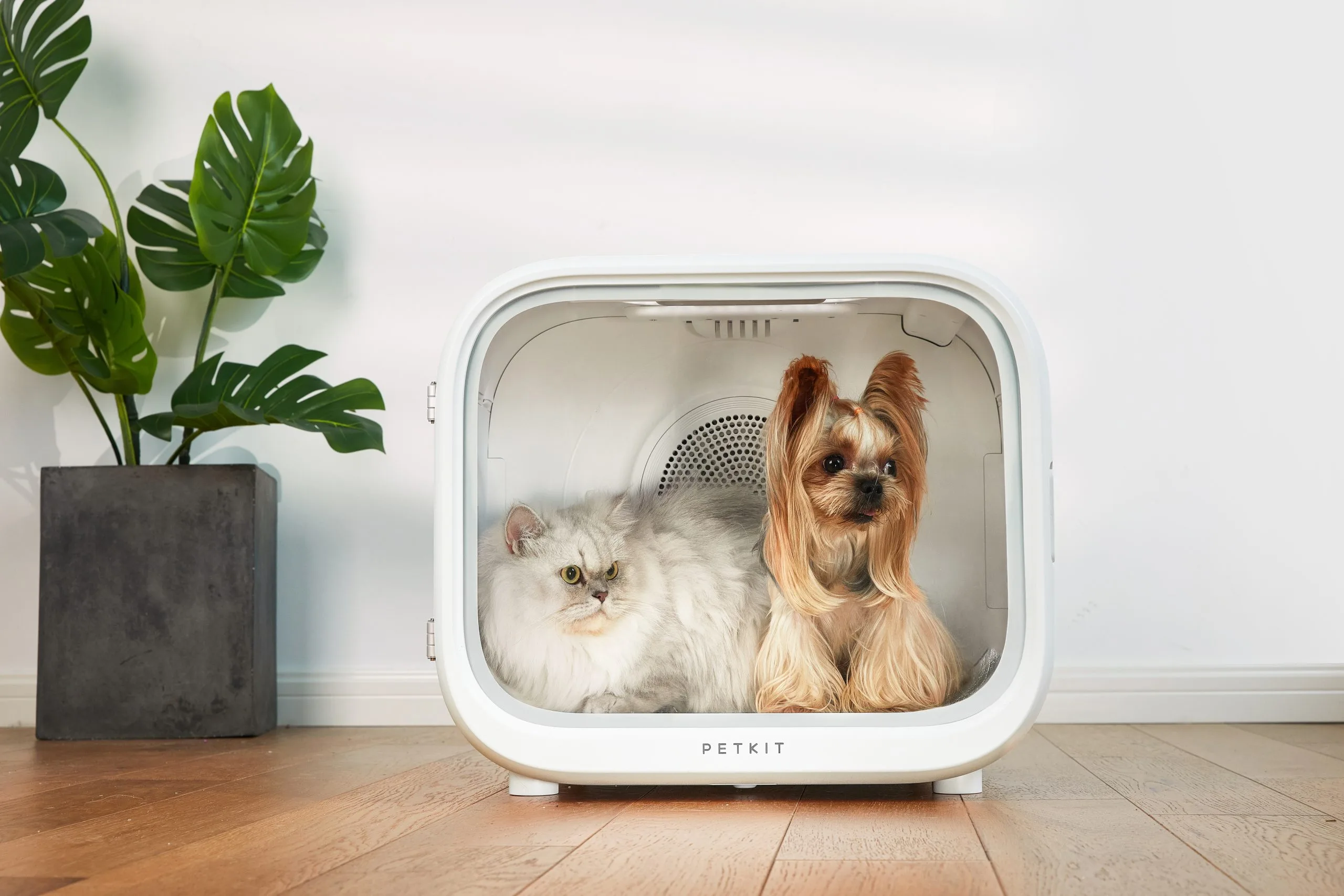 PetKit Pet Dryer Air Salon MAX