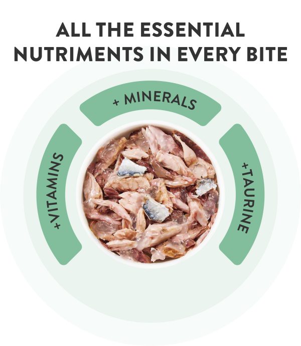 Schesir Mini Meals Complete Nutrition Tuna with Chicken Wet Cat Food, 50g (Pack of 6) - Image 6