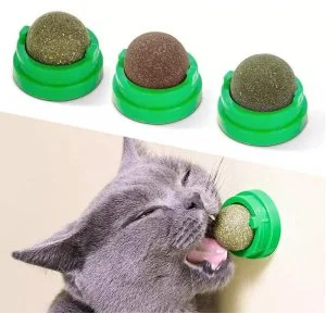 Alternative view of Funny Paws Catnip Ball Wall Toy