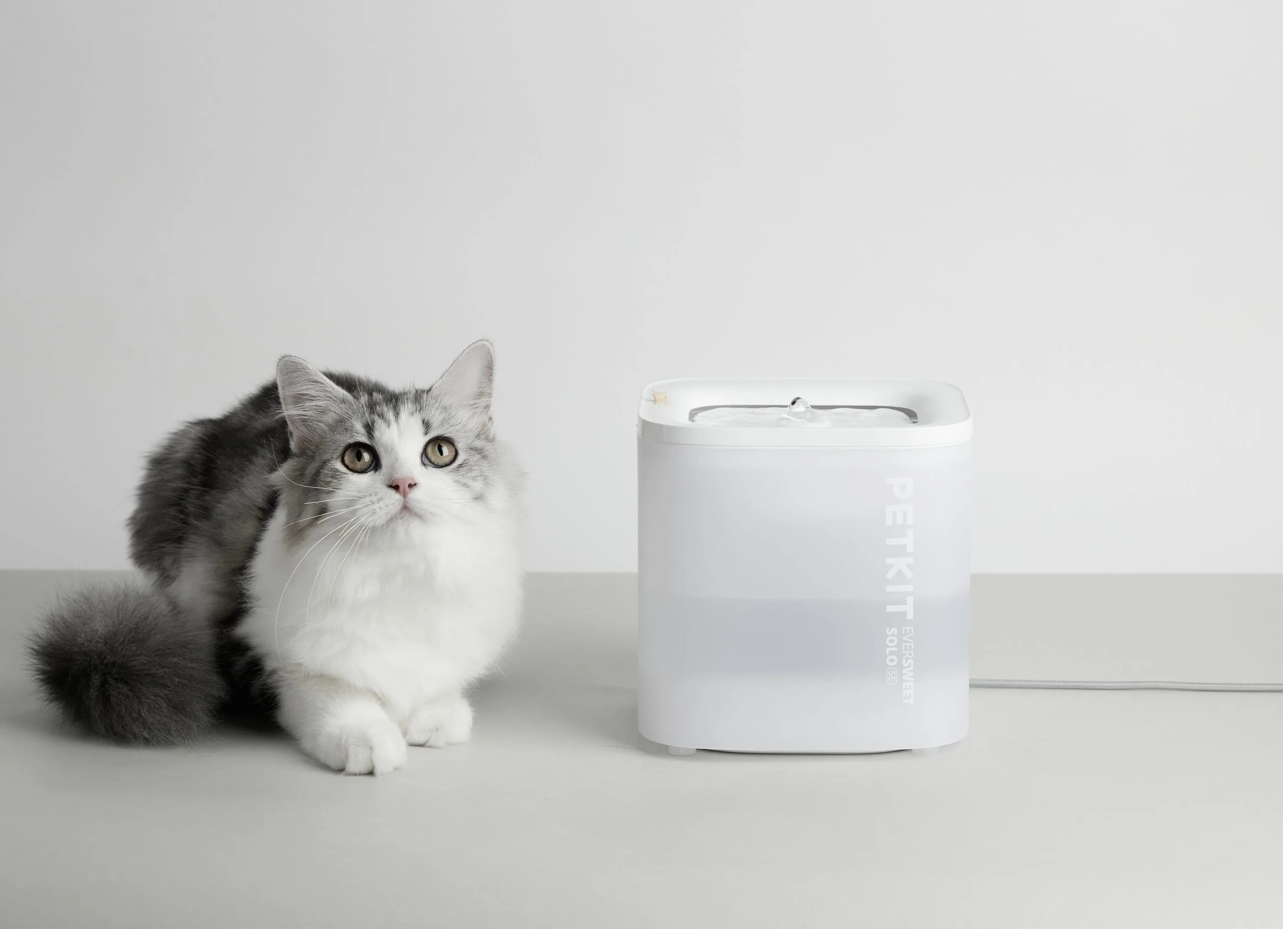 PetKit Smart Water Fountain SOLO SE, White - Image 5