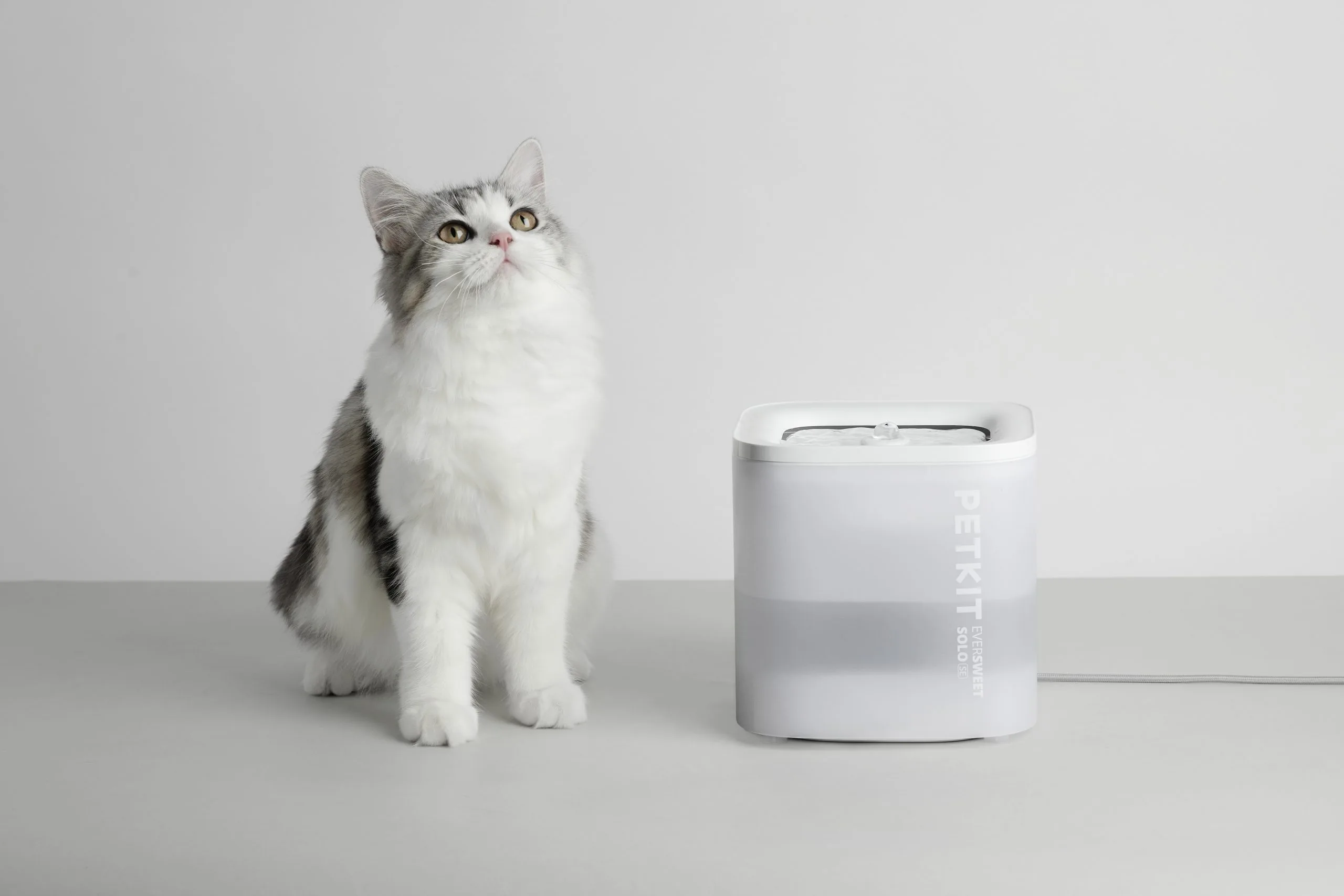 PetKit Smart Water Fountain SOLO SE, White - Image 2