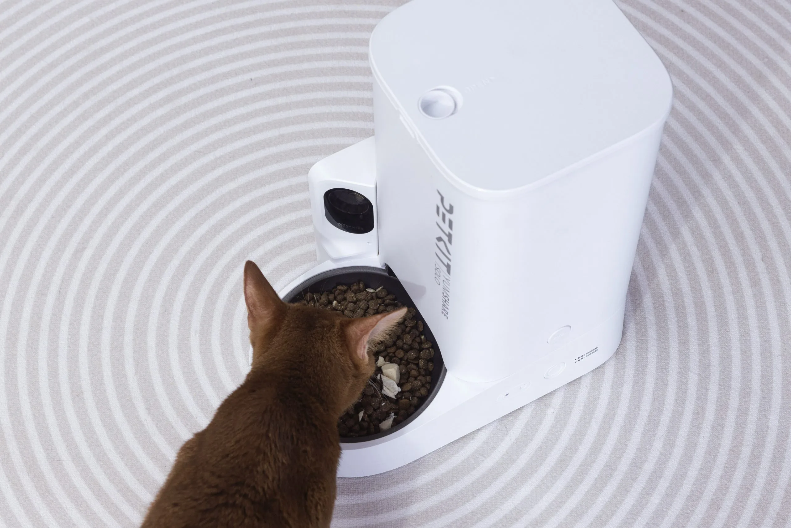 PetKit YUMSHARE SOLO Automatic Pet Feeder with HD Camera - Image 2