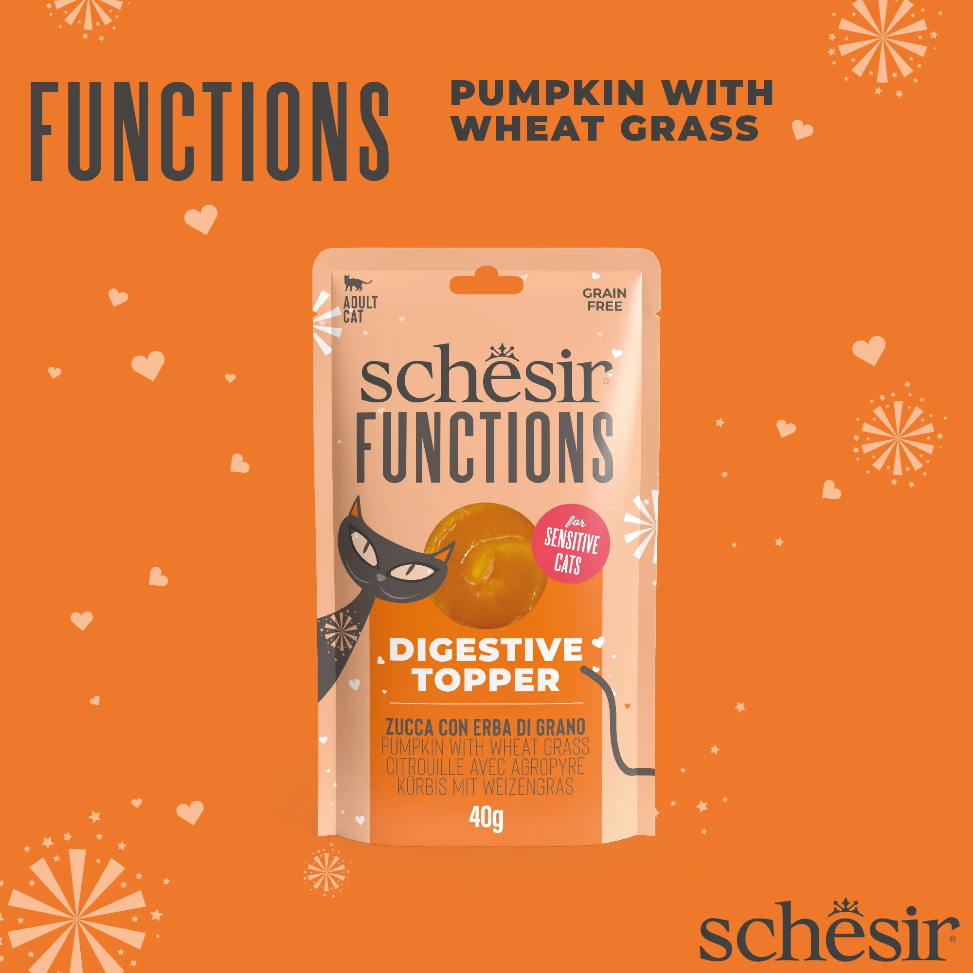 Schesir Functions Pumpkin with Wheat Grass Digestive Food Topper, 40g - Image 4