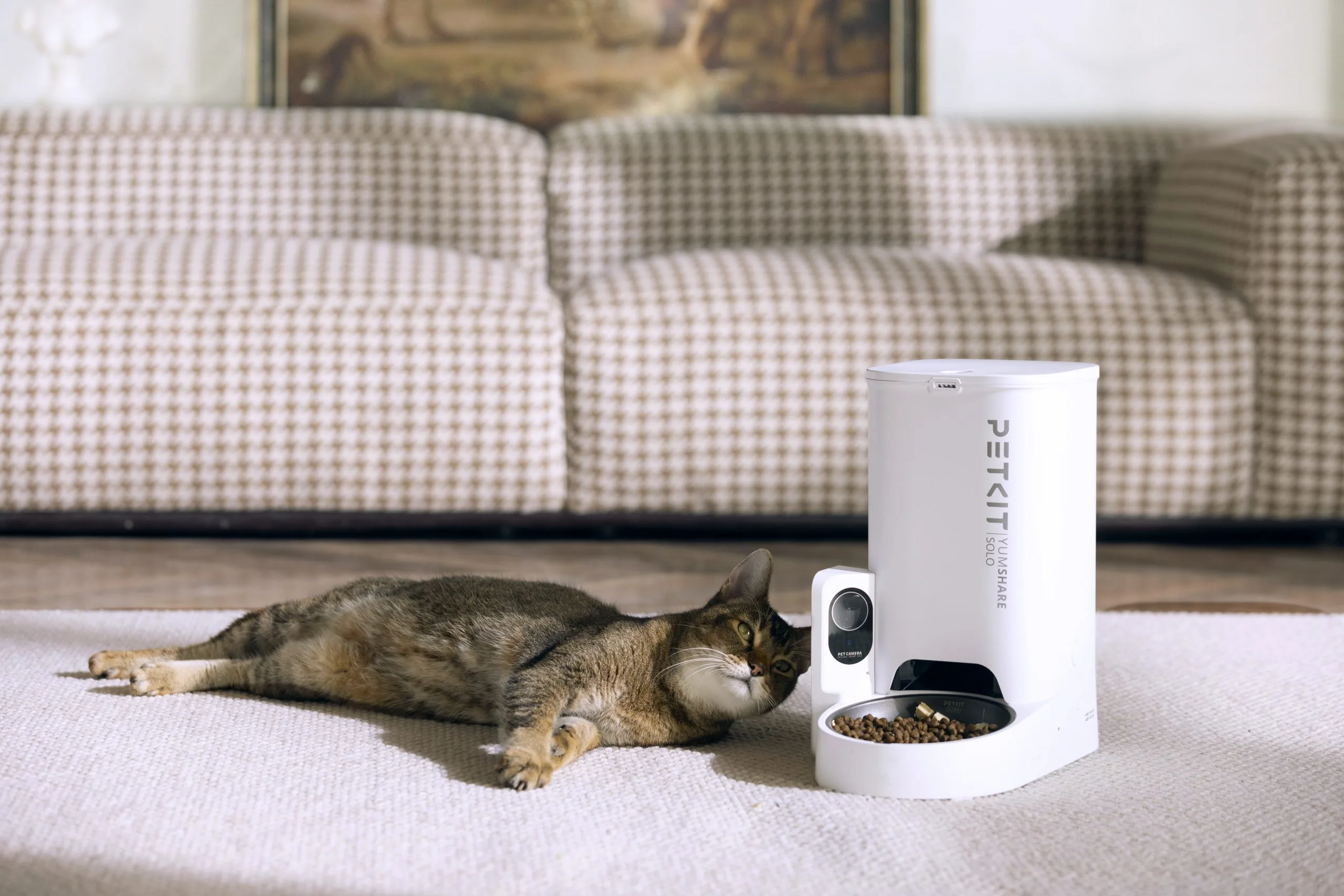 PetKit YUMSHARE SOLO Automatic Pet Feeder with HD Camera - Image 3