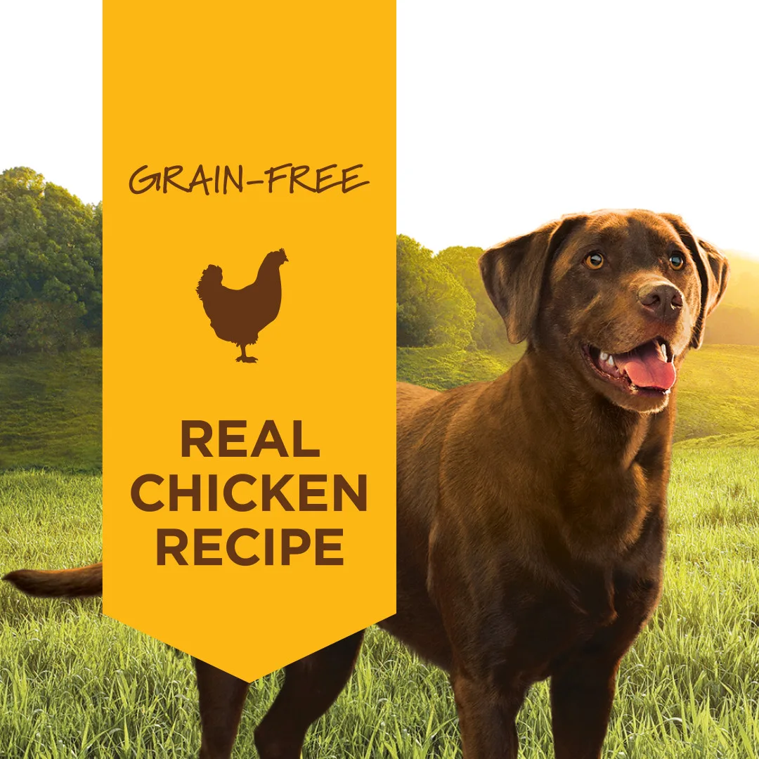Instinct Original Real Chicken Wet Dog Food, 374g - Image 5