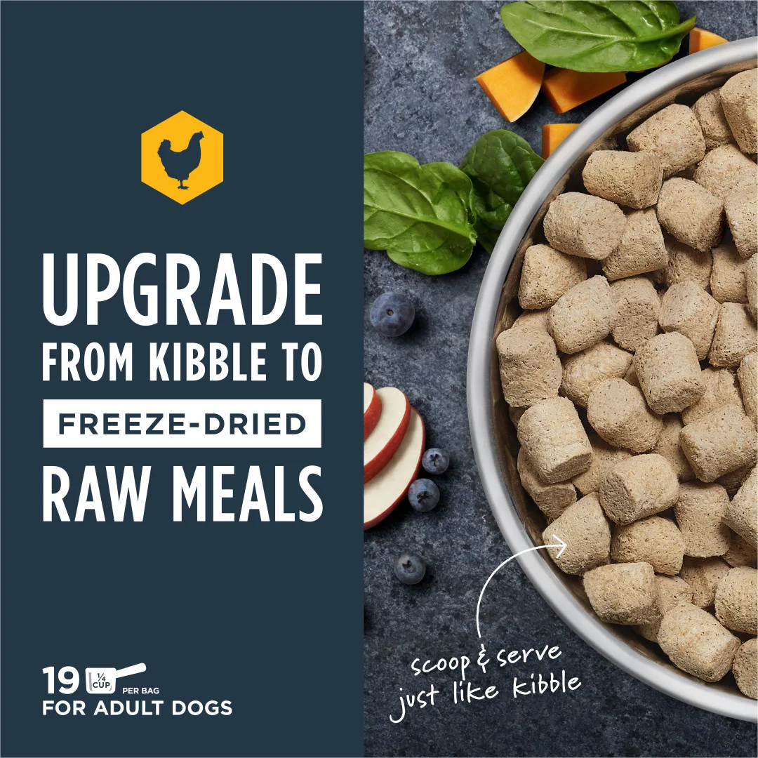 Instinct Raw Meals Cage-Free Chicken Freeze-Dried Dog Food - Image 2