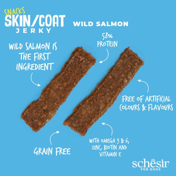 Schesir Snacks, Skin & Coat Wild Salmon Jerky Dog Treat, 115g - Image 2