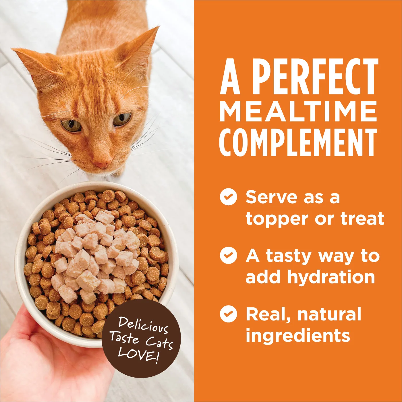 Instinct Healthy Cravings Real Salmon Grain-Free Wet Cat Food, 85g - Image 4