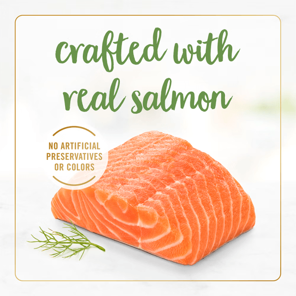 Fancy Feast Gravy Lovers Salmon Feast in Seared Salmon Flavour Gravy Wet Cat Food, 85g - Image 2