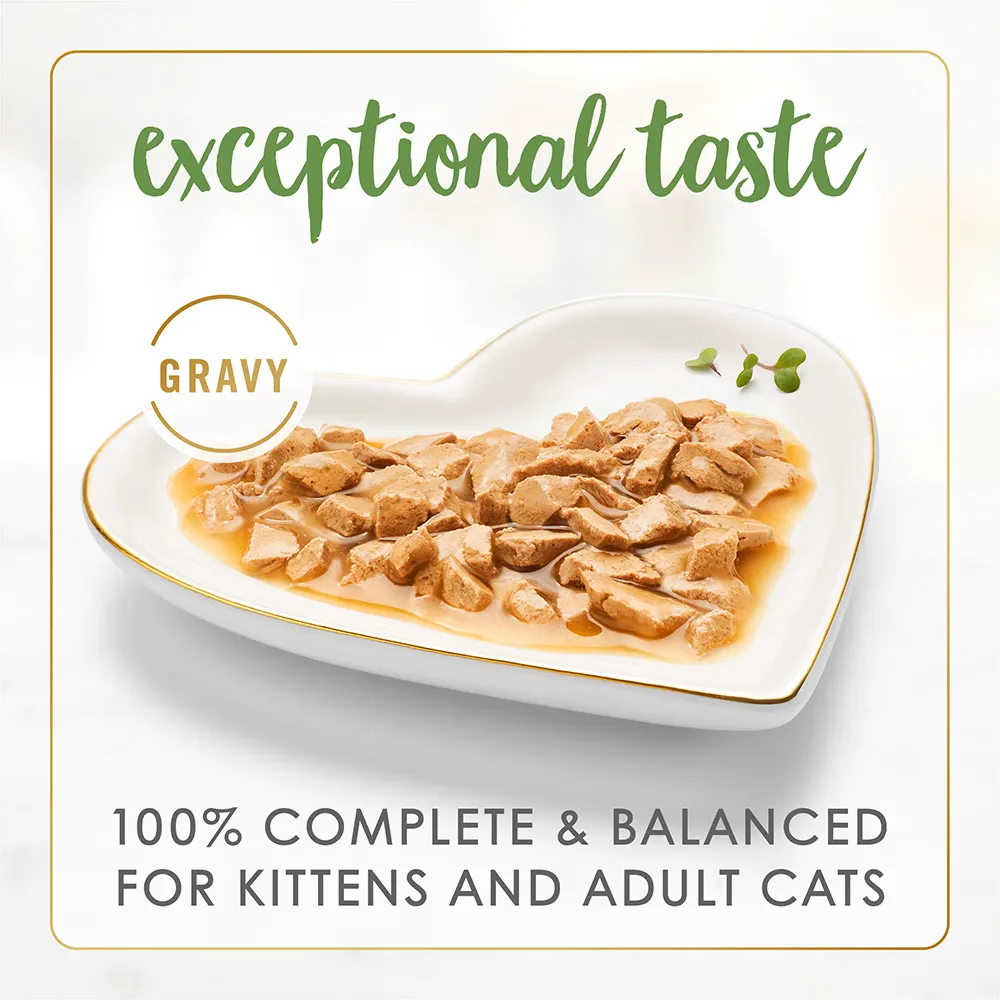 Fancy Feast Gravy Lovers Salmon Feast in Seared Salmon Flavour Gravy Wet Cat Food, 85g - Image 3