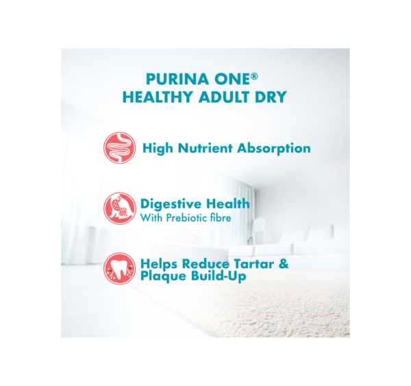Purina One Healthy Adult Salmon and Tuna Dry Cat Food - Image 6