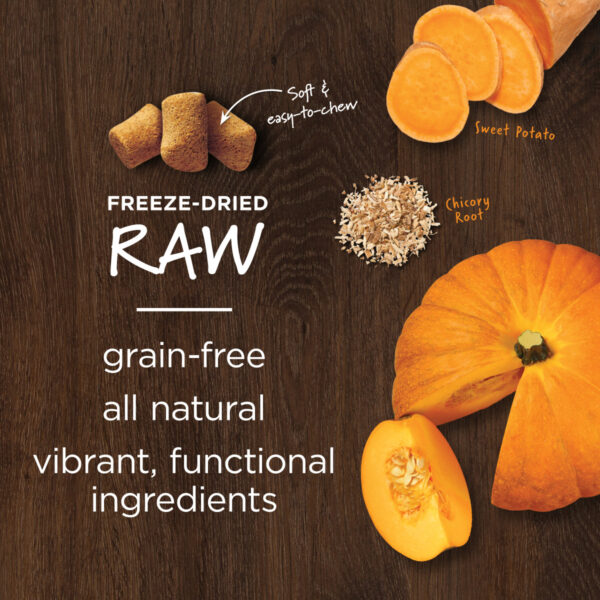 Instinct Raw Boost Mixers Gut Health Freeze-Dried Dog Food Topper - Image 4