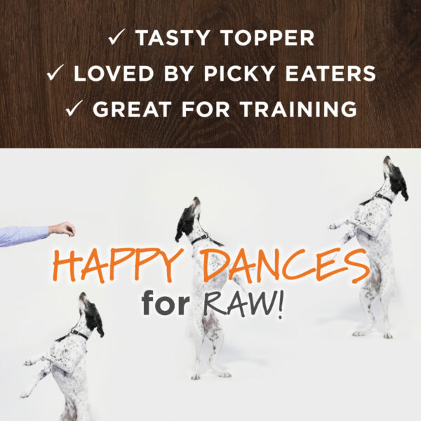 Instinct Raw Boost Mixers Gut Health Freeze-Dried Dog Food Topper - Image 5