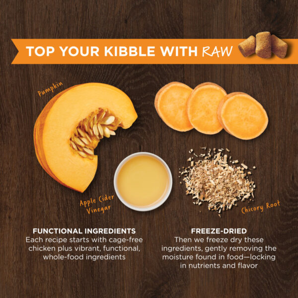 Instinct Raw Boost Mixers Gut Health Freeze-Dried Dog Food Topper - Image 2