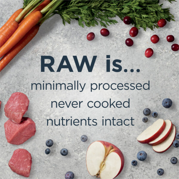 Instinct Raw Boost Whole-Grain Real Lamb & Oatmeal Dry Dog Food, 1.5kg - Image 4