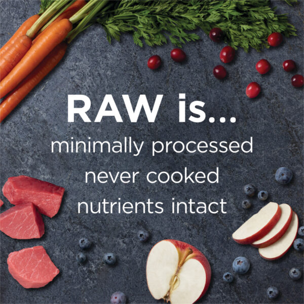 Instinct Raw Boost Real Beef Dry Dog Food, 1.5 kg - Image 3